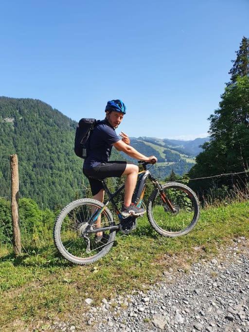 Appartement La Duchere Le Plan-La Giettaz Massif Des Aravis Экстерьер фото