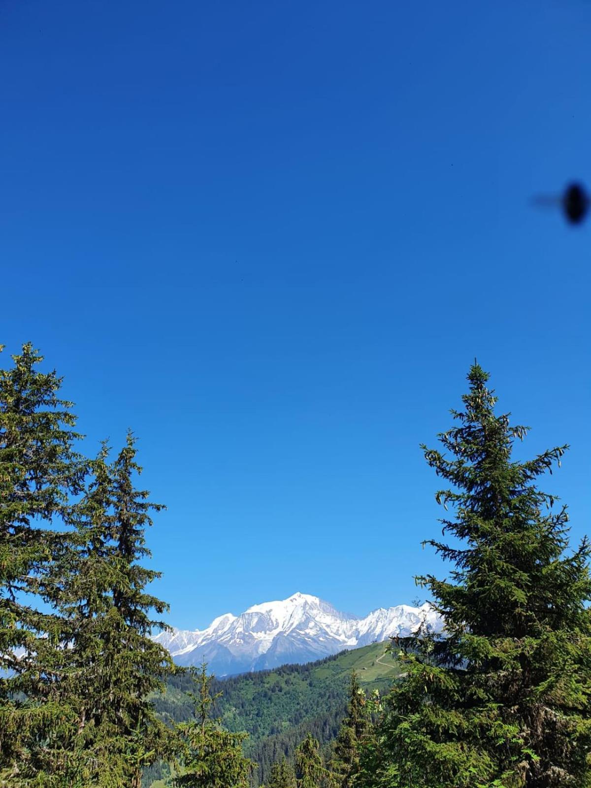 Appartement La Duchere Le Plan-La Giettaz Massif Des Aravis Экстерьер фото