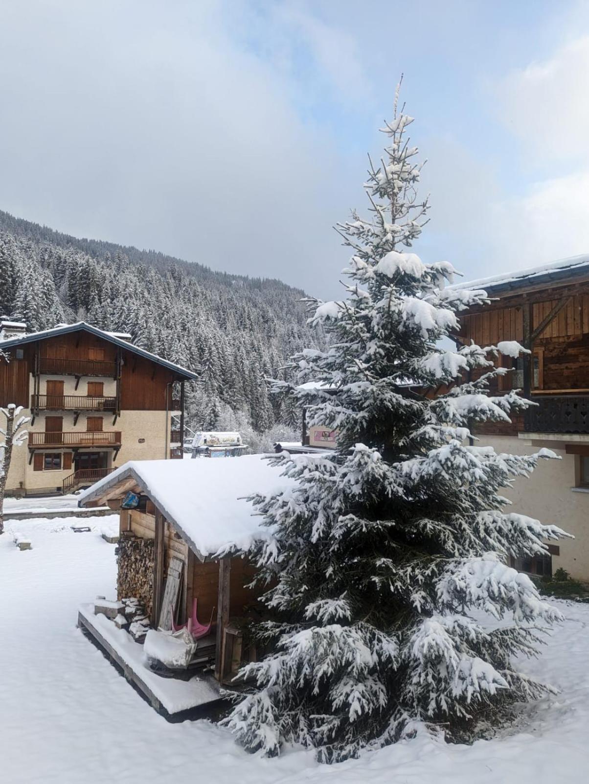 Appartement La Duchere Le Plan-La Giettaz Massif Des Aravis Экстерьер фото